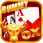 rummy ludo apk icon